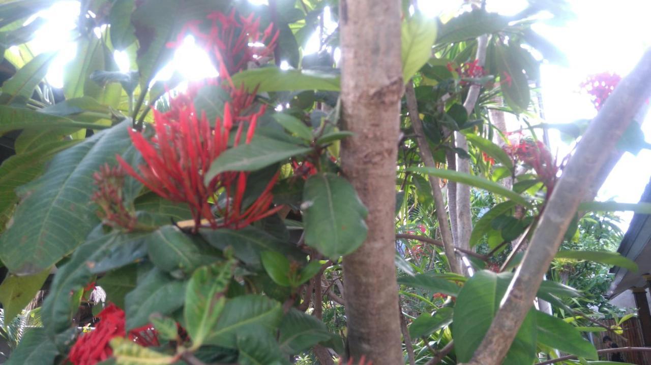 Koi Gili Guest House กีลีตราวางัน ภายนอก รูปภาพ